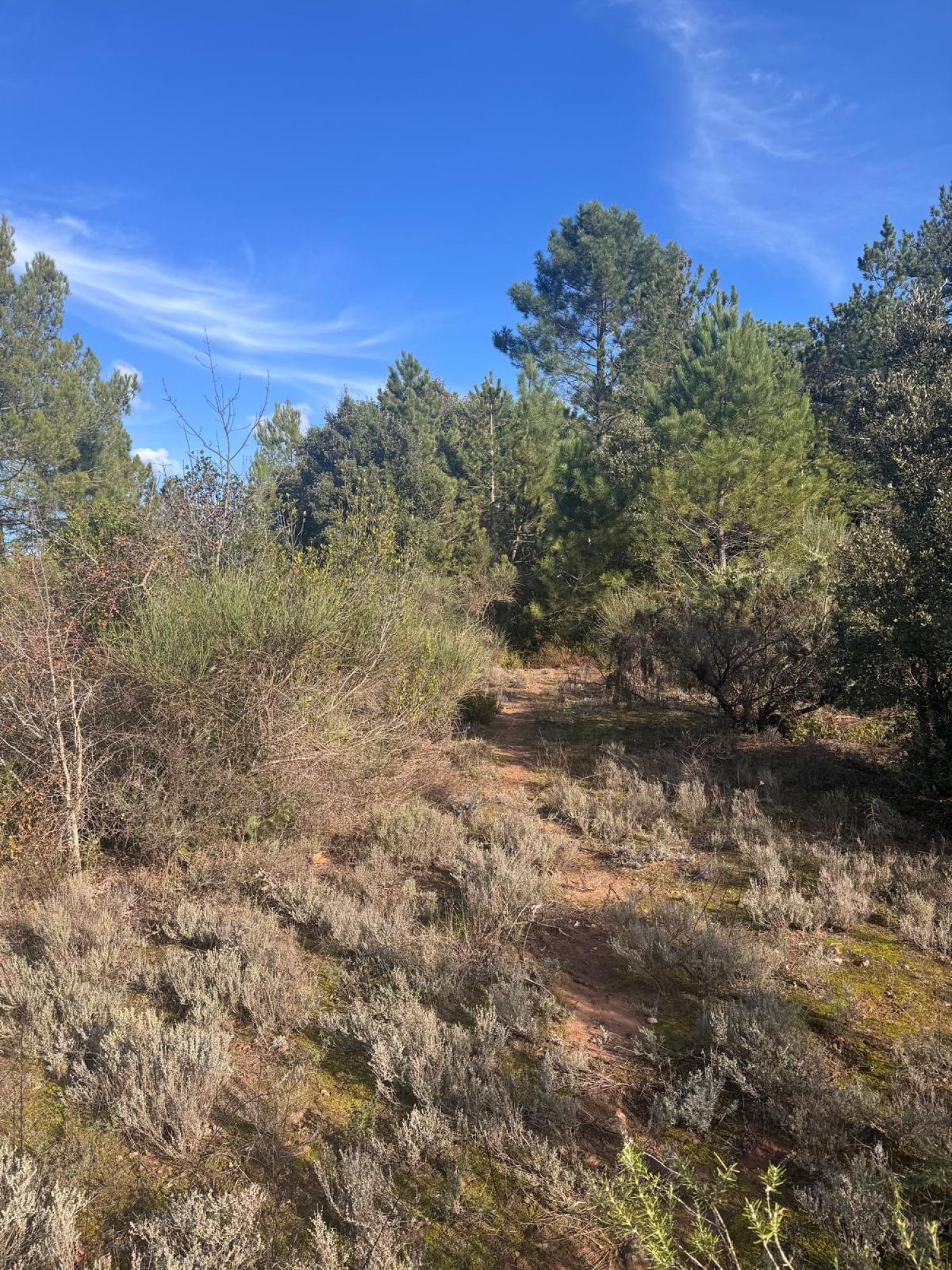 te koop huis Bédarieux Hérault 30