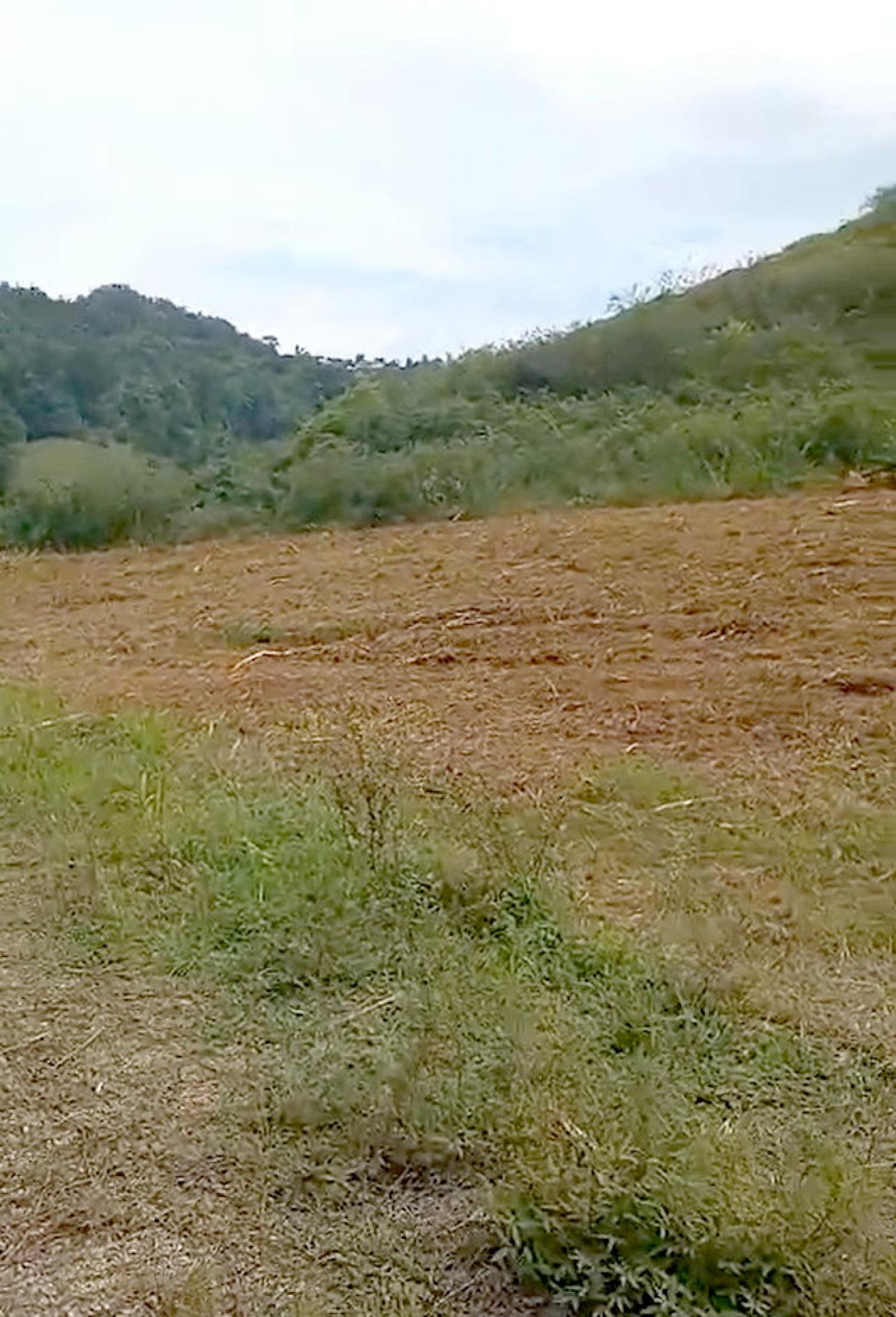 te koop huis Le Robert Martinique 5