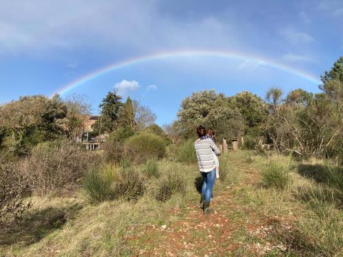  te koop huis Bédarieux Hérault 25