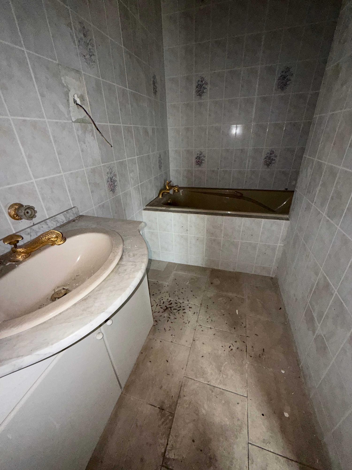  te koop dorpsboerderij Châteauvillain Haute-Marne 10