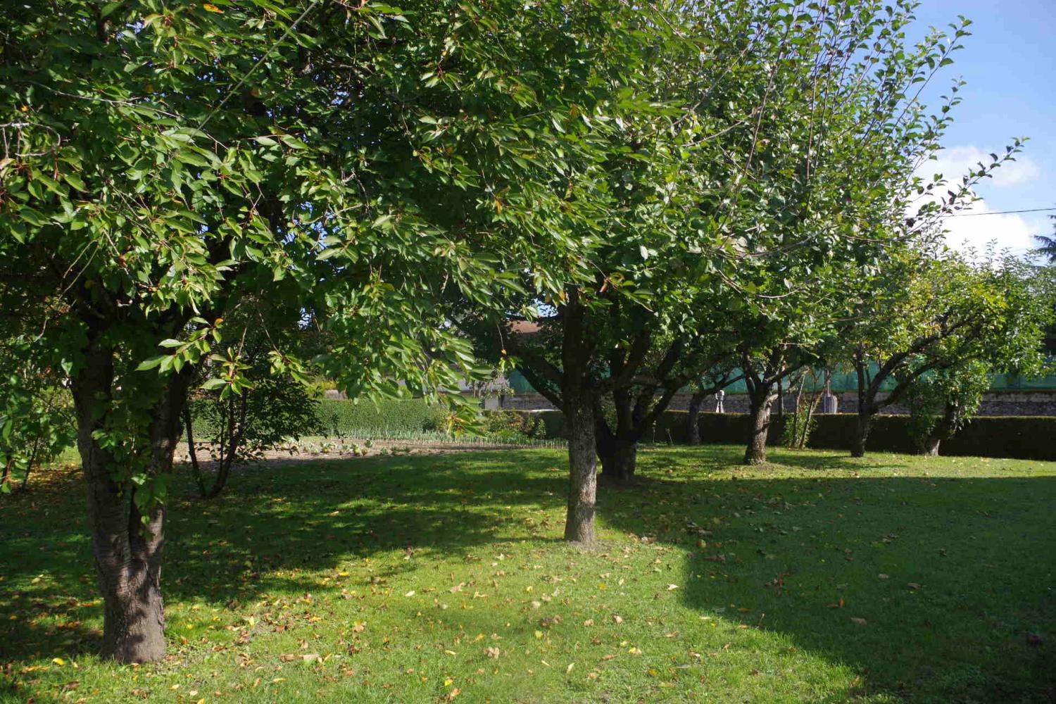  te koop huis Cercy-la-Tour Nièvre 7
