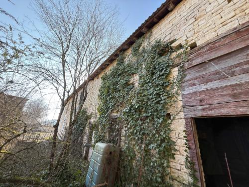  te koop dorpsboerderij Châteauvillain Haute-Marne 18