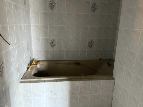  te koop dorpsboerderij Châteauvillain Haute-Marne 8