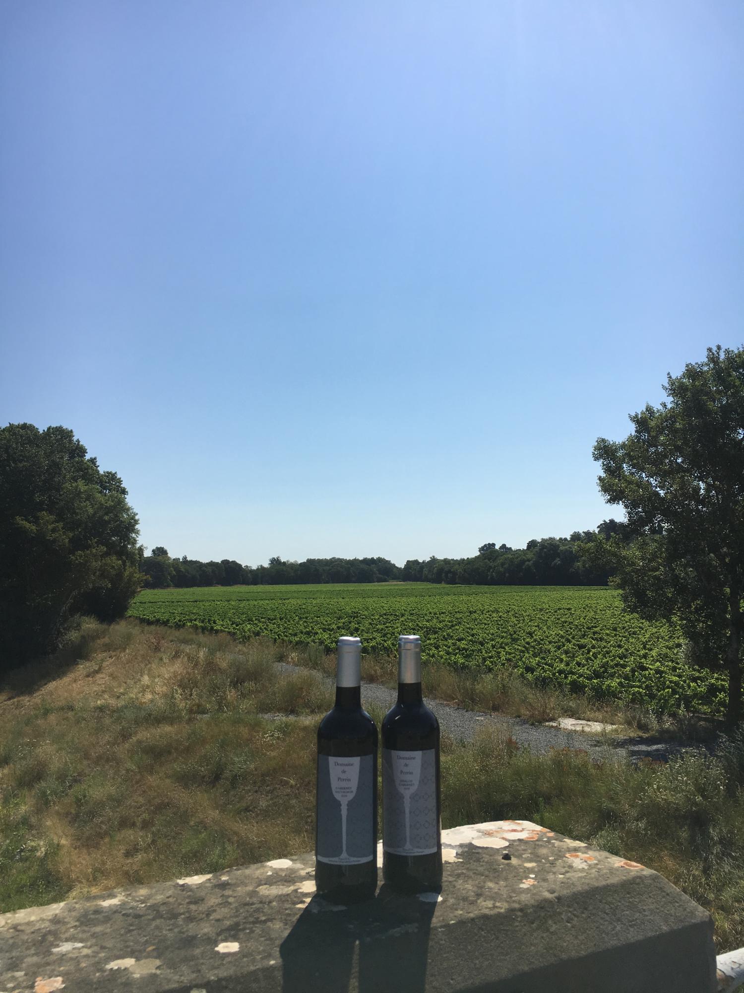  te koop wijngaard Carcassonne Aude 8
