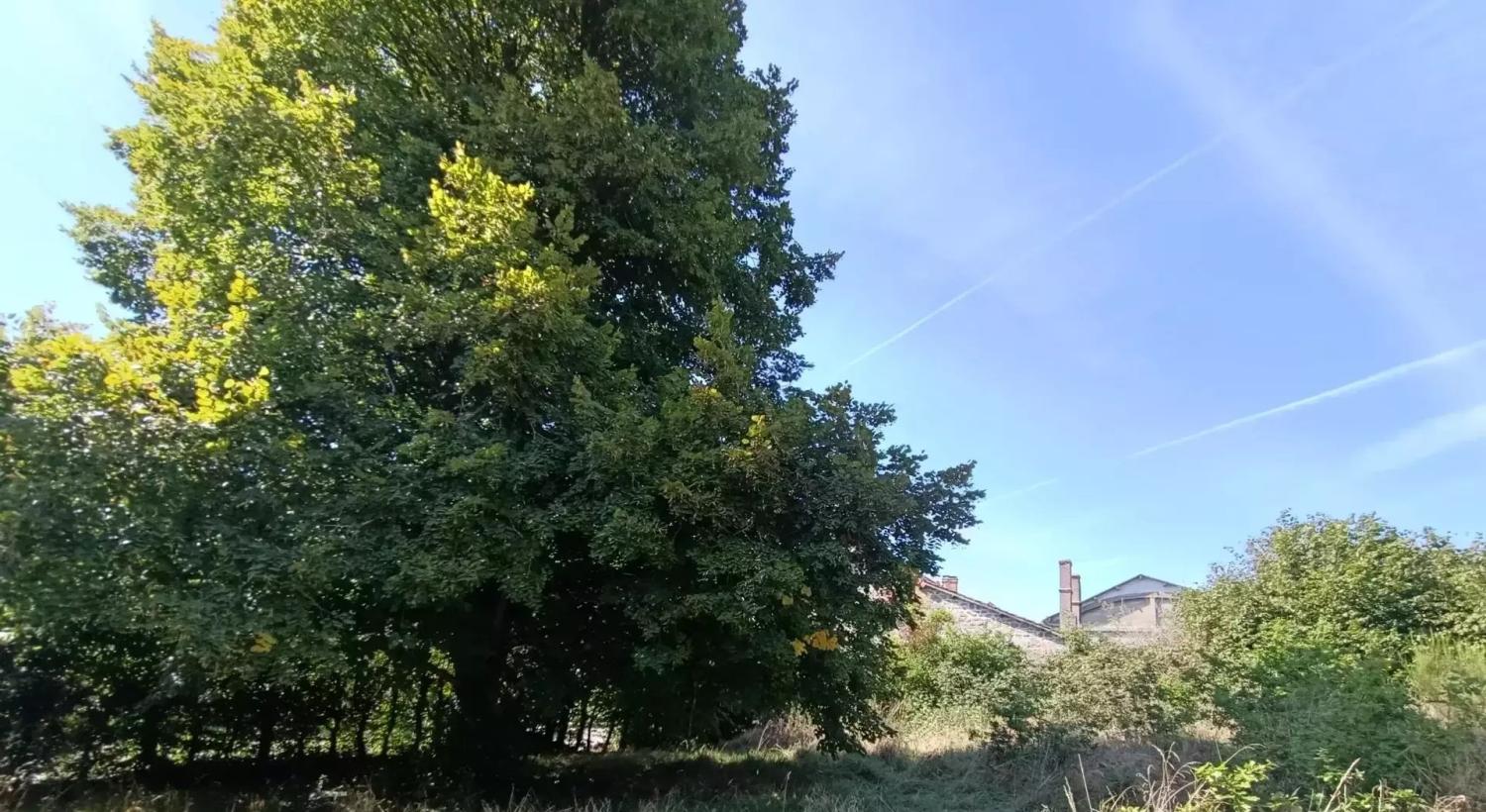 te koop huis Aubusson Creuse 18