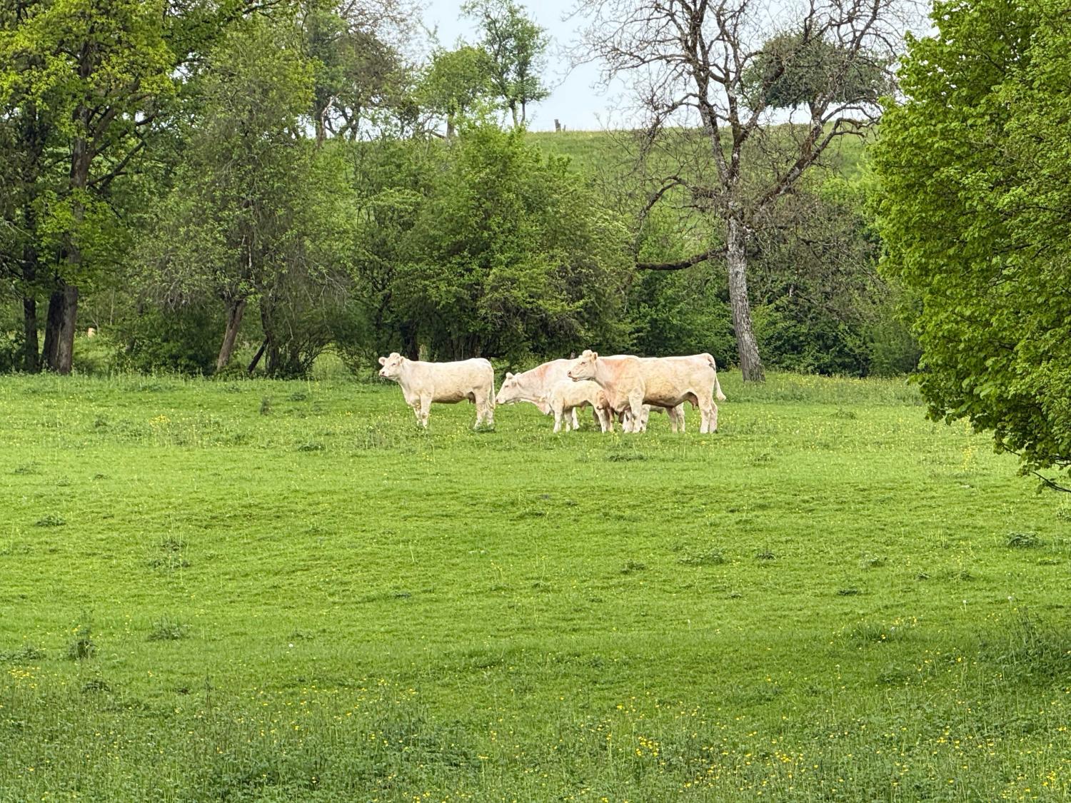  te koop dorpsboerderij Rosières-sur-Mance Haute-Saône 25