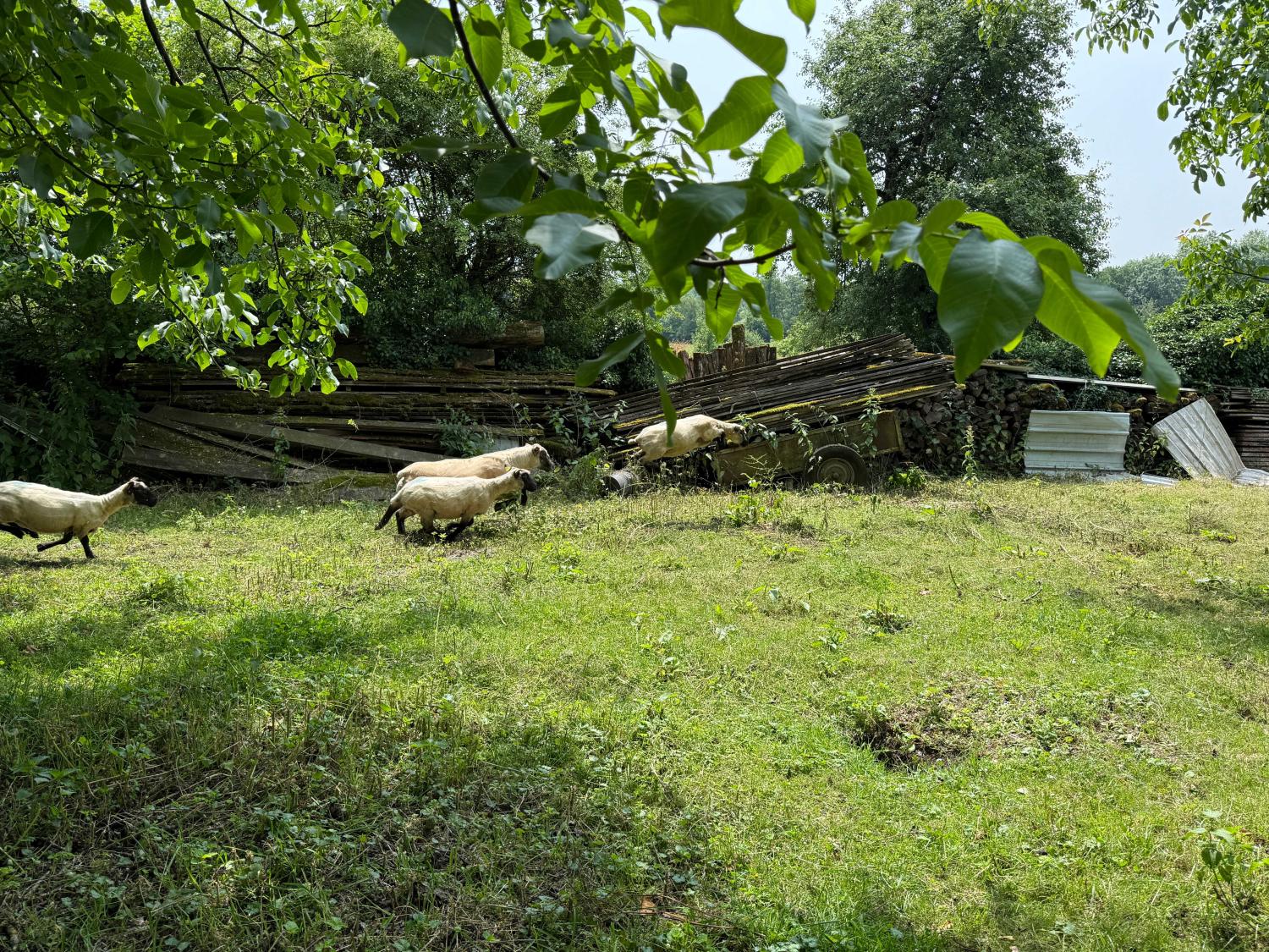  te koop dorpsboerderij Confracourt Haute-Saône 37