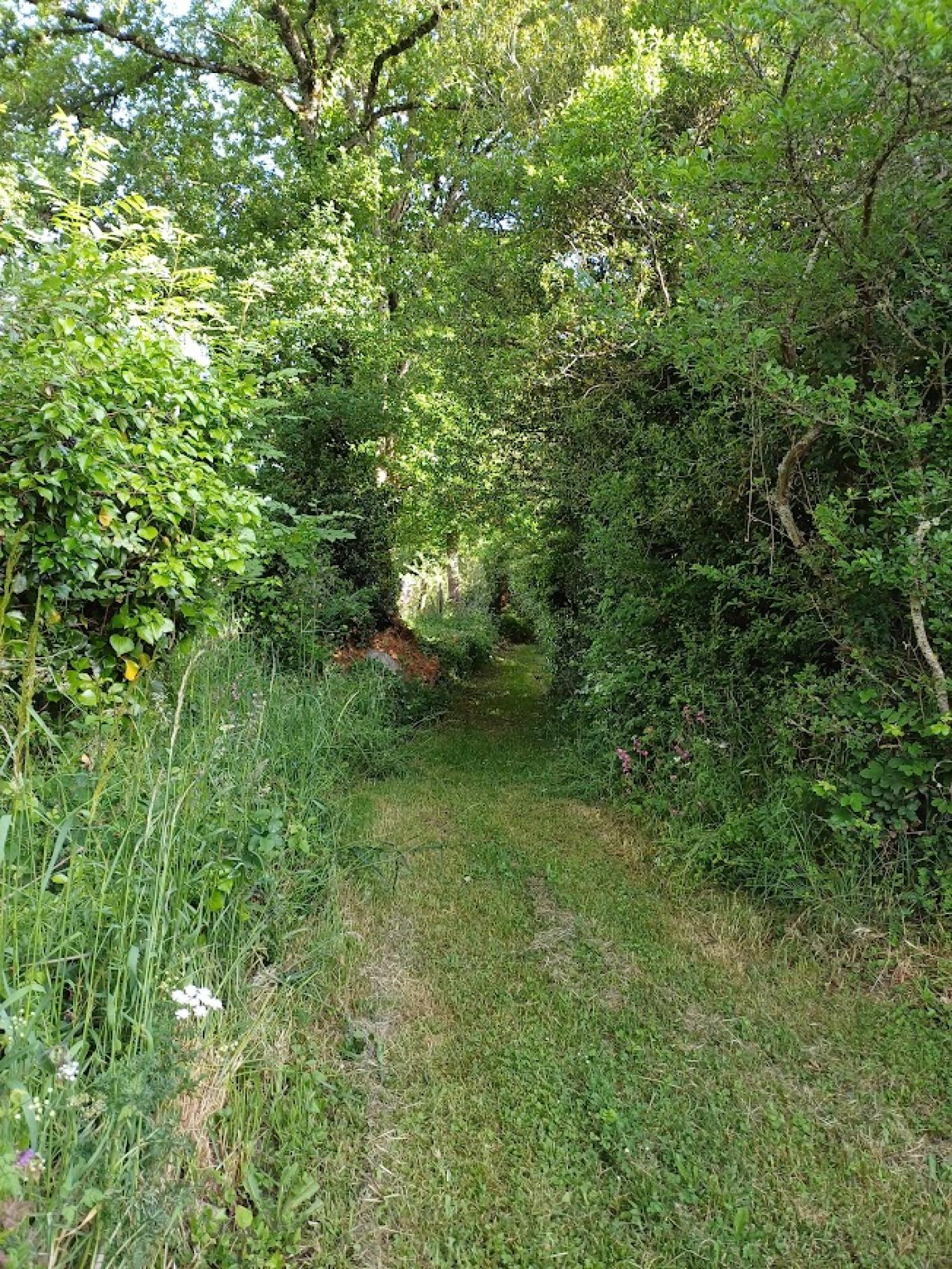  te koop vrijstaand Chénérailles Creuse 4