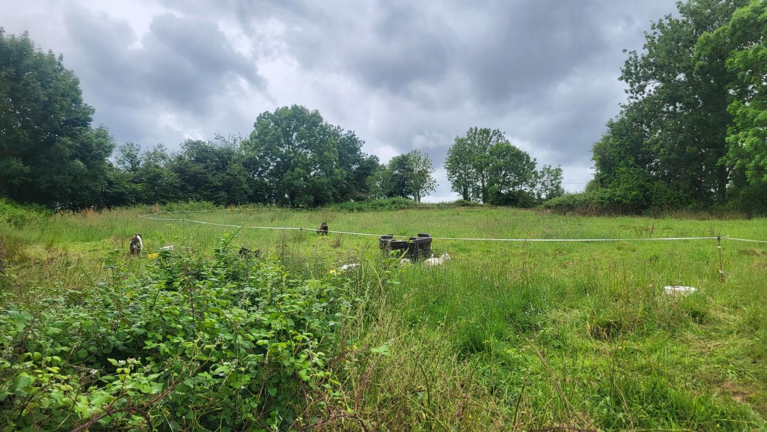  te koop vrijstaand Tessy-sur-Vire Manche 24