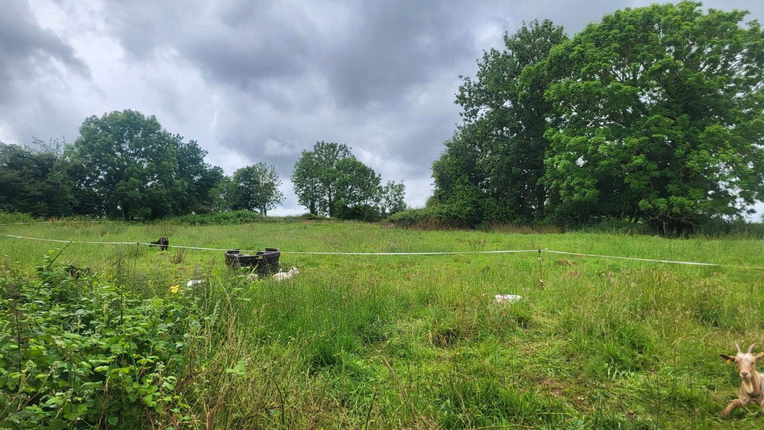  te koop vrijstaand Tessy-sur-Vire Manche 25