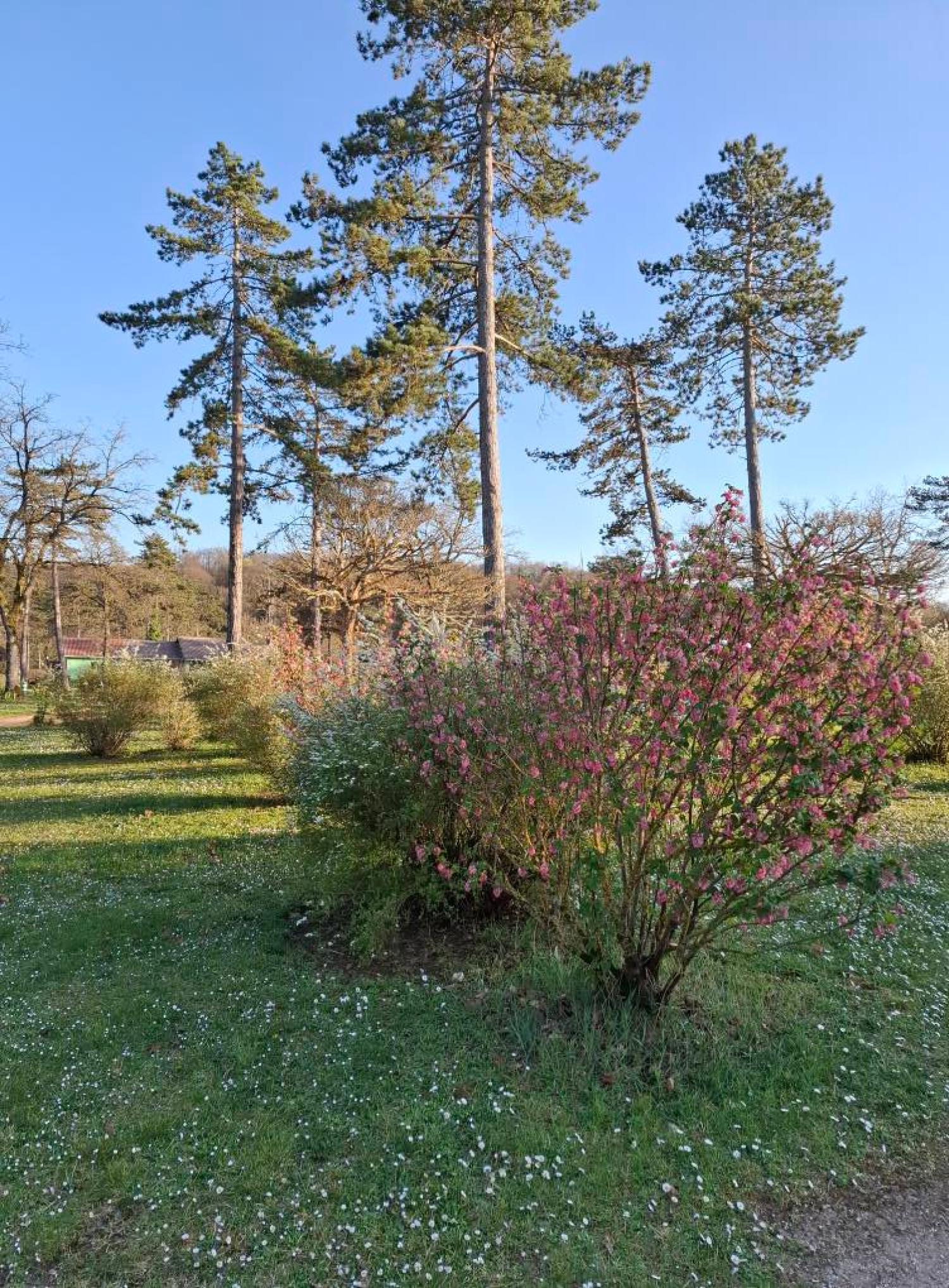  te koop camping Jaulny Meurthe-et-Moselle 34