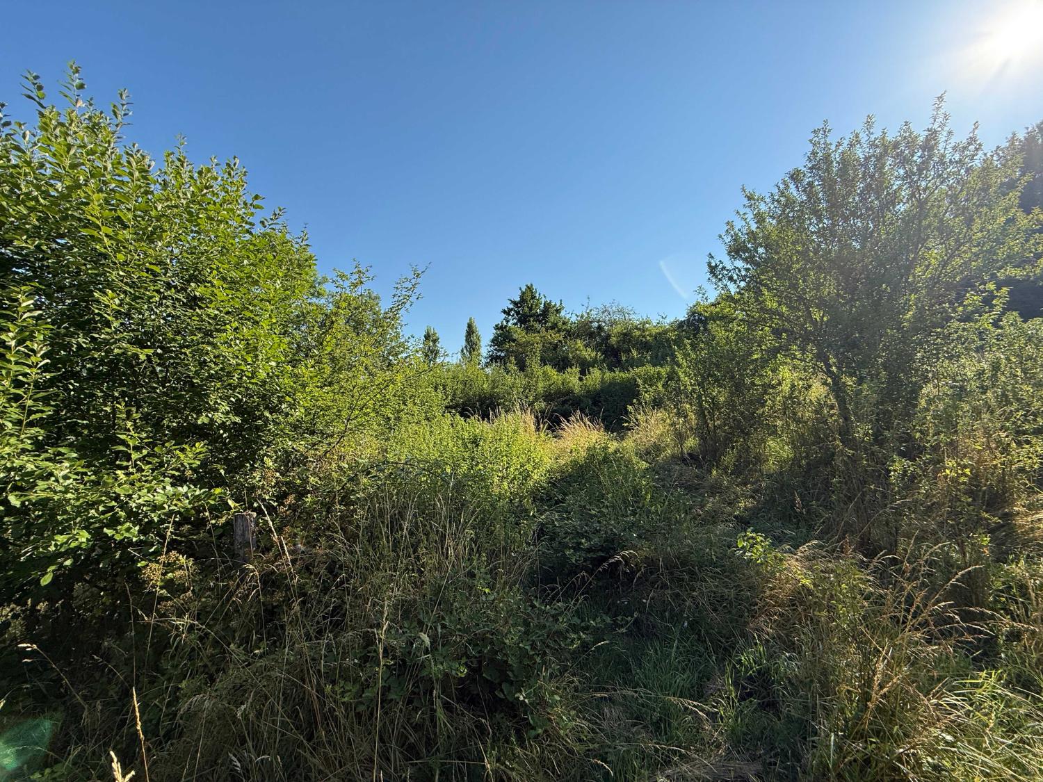  te koop terrein Bourbonne-les-Bains Haute-Marne 8