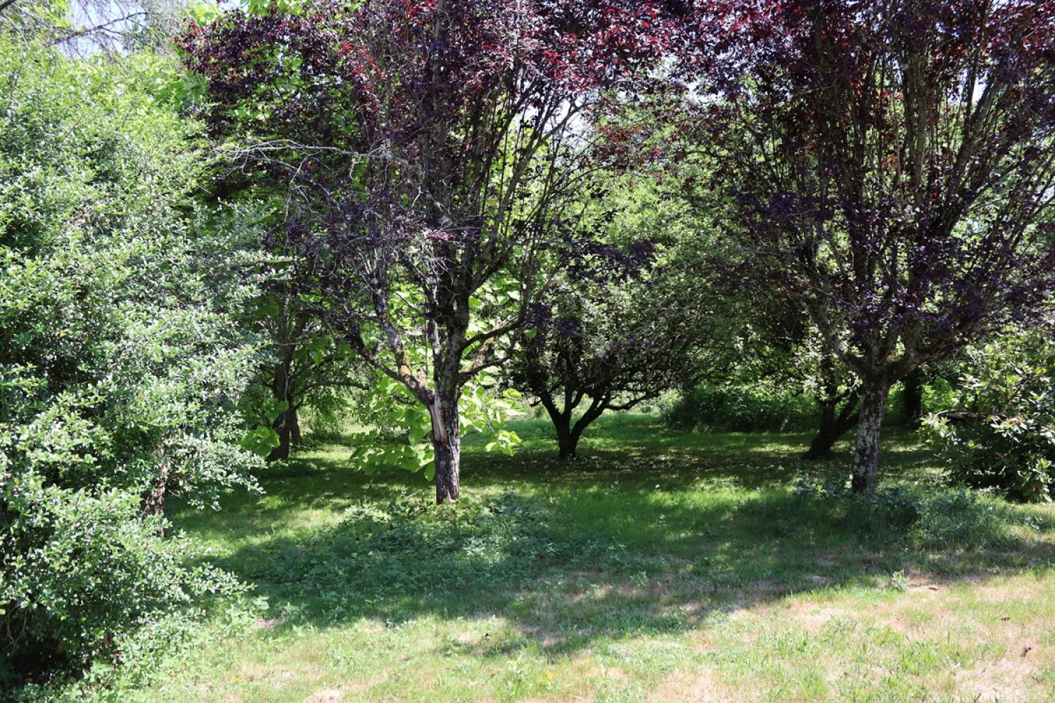  te koop huis Saint-Didier-sur-Arroux Saône-et-Loire 7