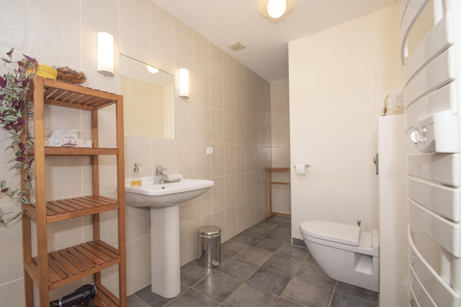  te koop gîtes/ chambres d'hôtes Castelnau-de-Montmiral Tarn 15