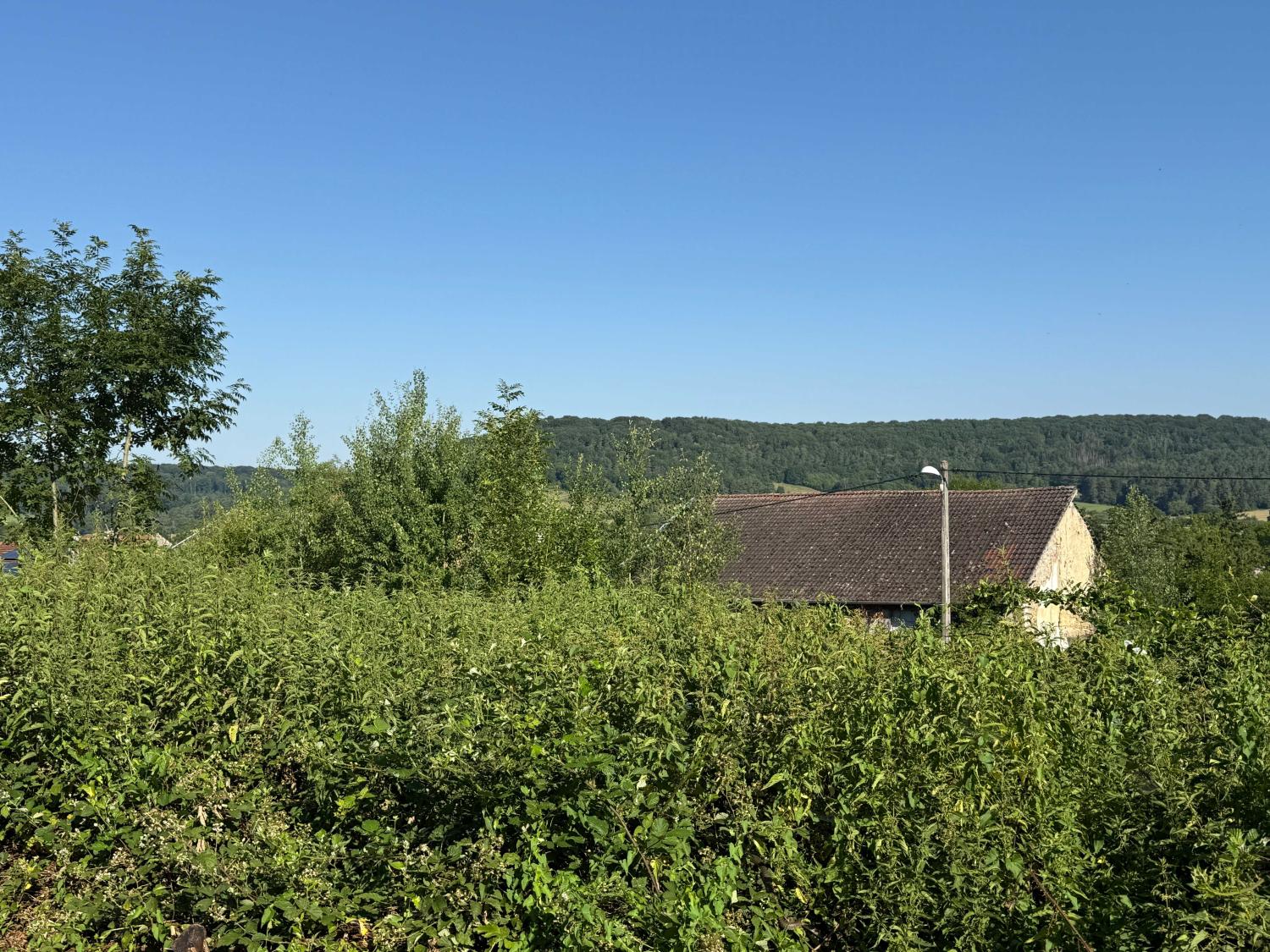  te koop terrein Bourbonne-les-Bains Haute-Marne 6