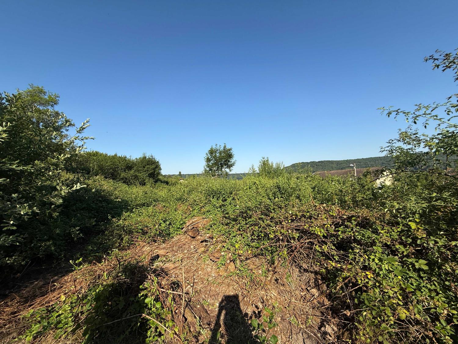  te koop terrein Bourbonne-les-Bains Haute-Marne 5
