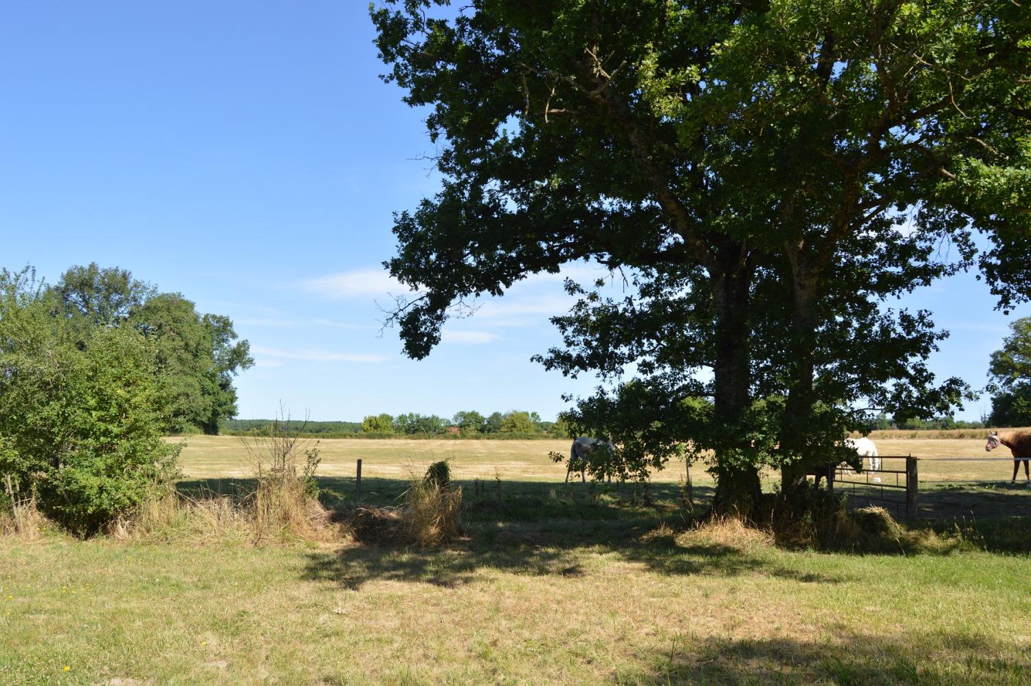 te koop huis Montigny-sur-Canne Nièvre 8