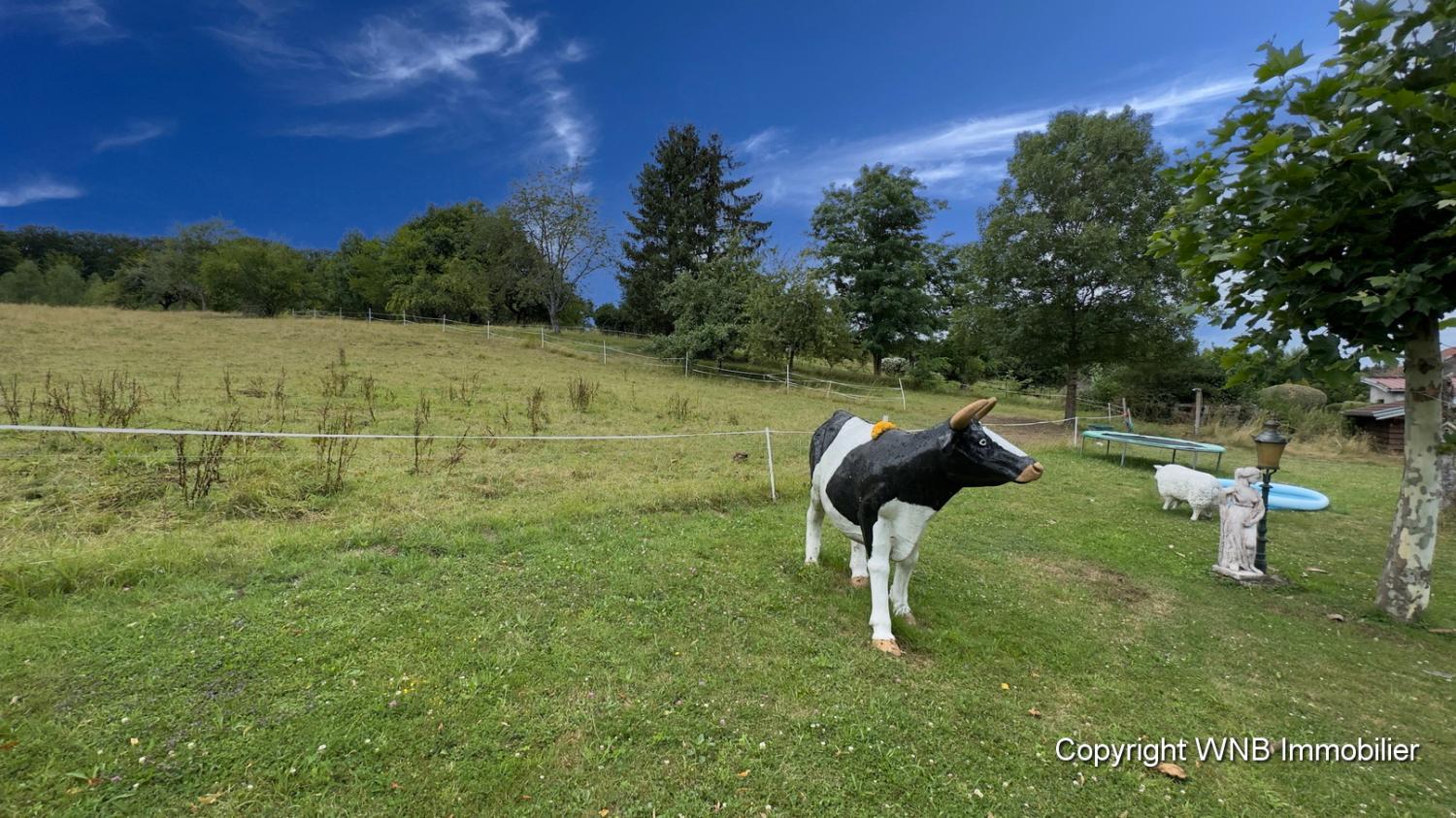  te koop landgoed Hautmougey Vogezen 9