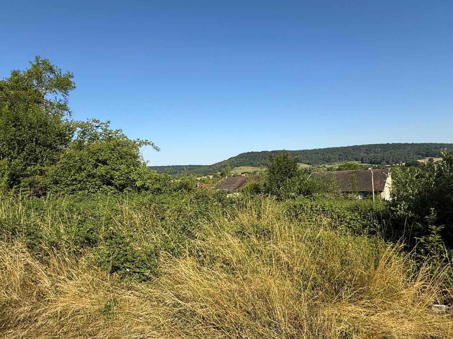  te koop terrein Bourbonne-les-Bains Haute-Marne 9