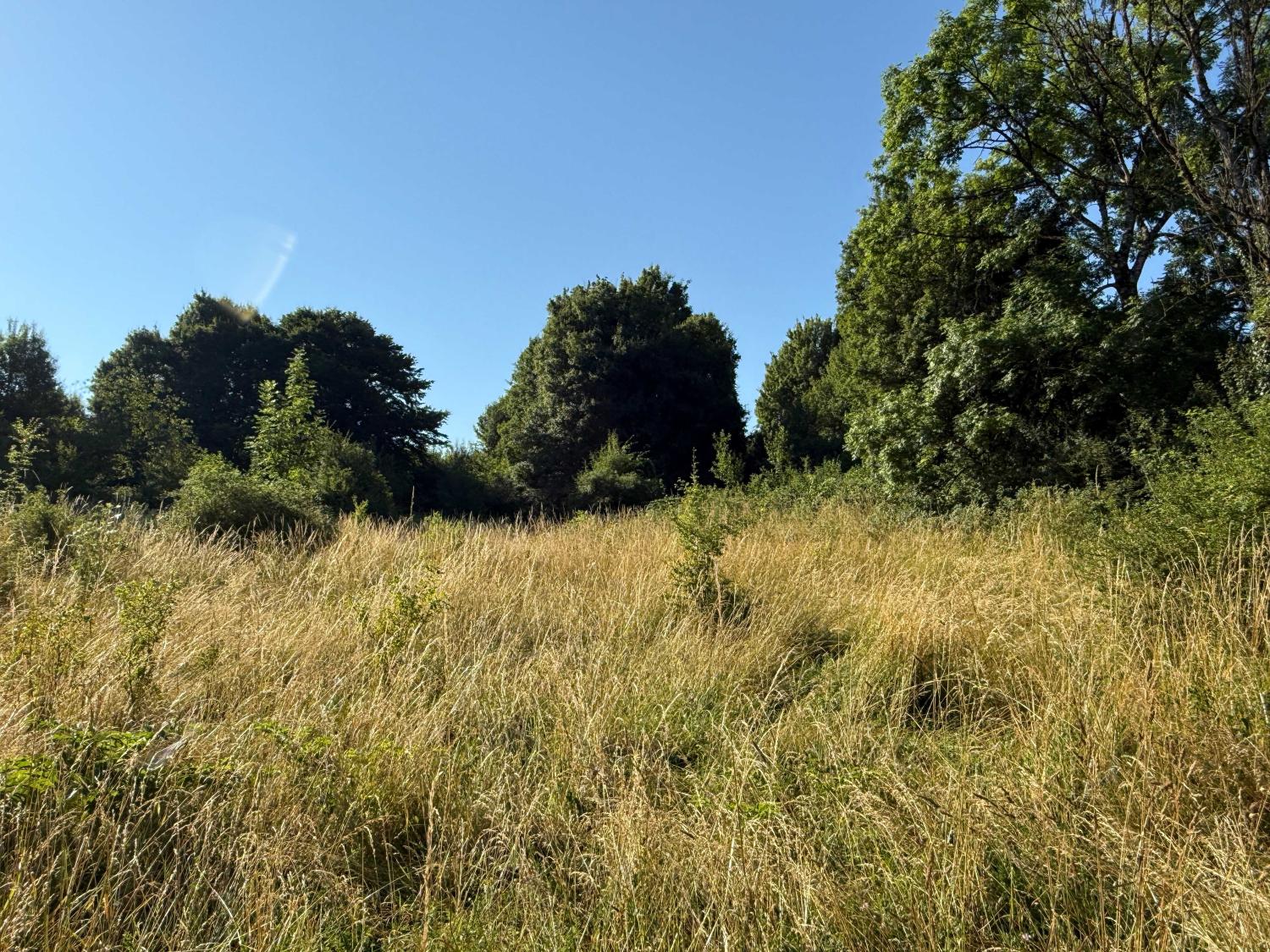  te koop terrein Bourbonne-les-Bains Haute-Marne 7