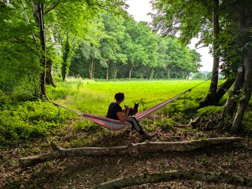  te koop camping Saint-Palais Allier 41