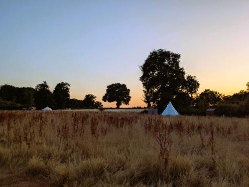  te koop camping Saint-Palais Allier 2