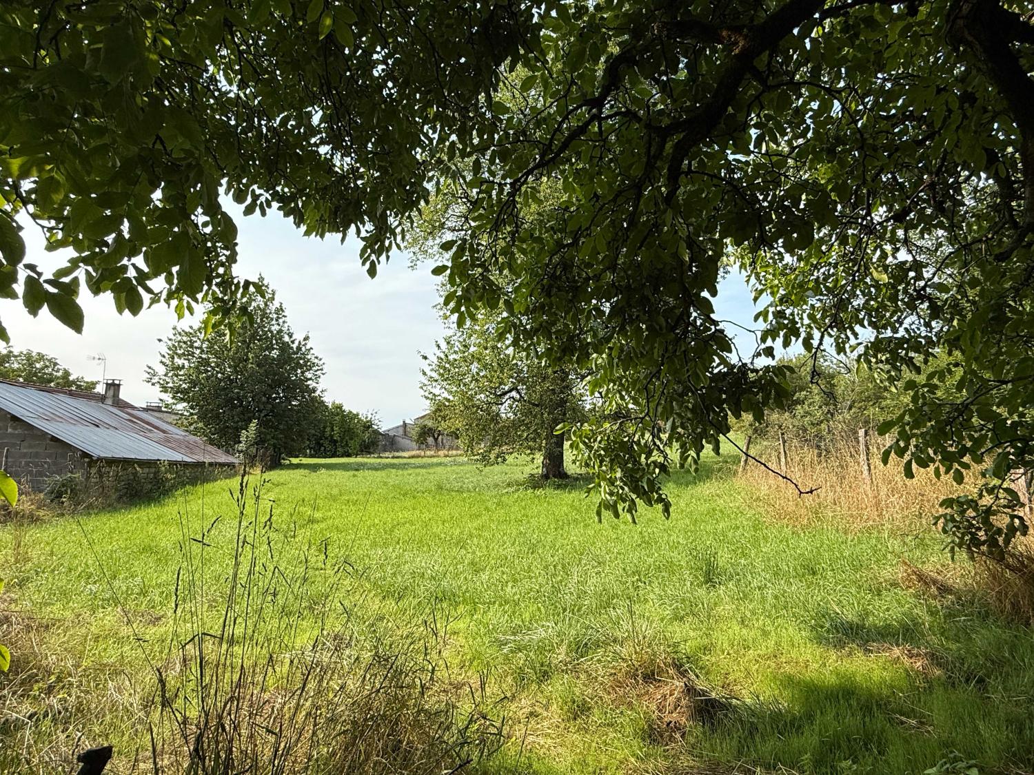  te koop dorpsboerderij Châtillon-sur-Saône Vogezen 2