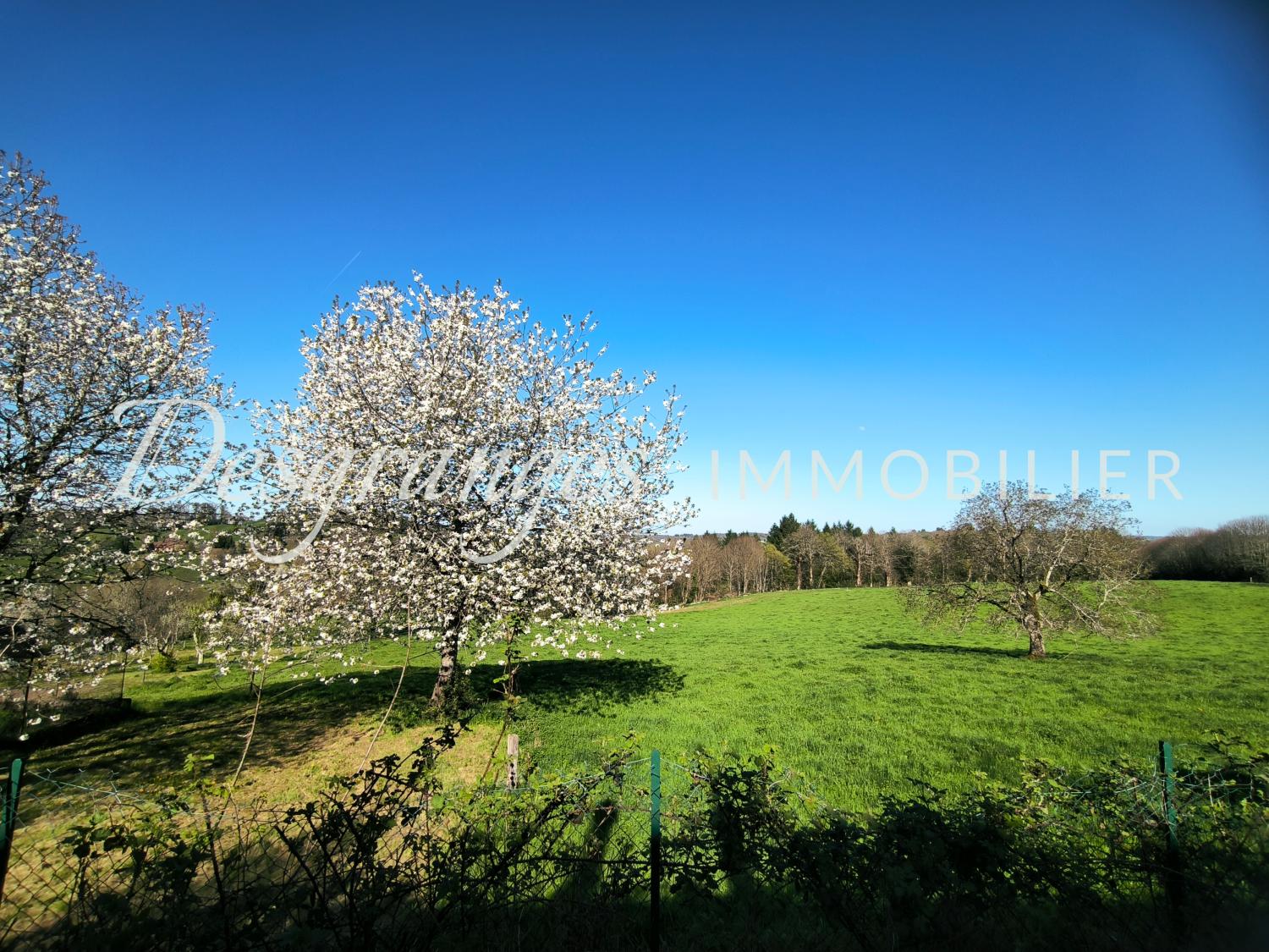  te koop vrijstaand Payzac Dordogne 3
