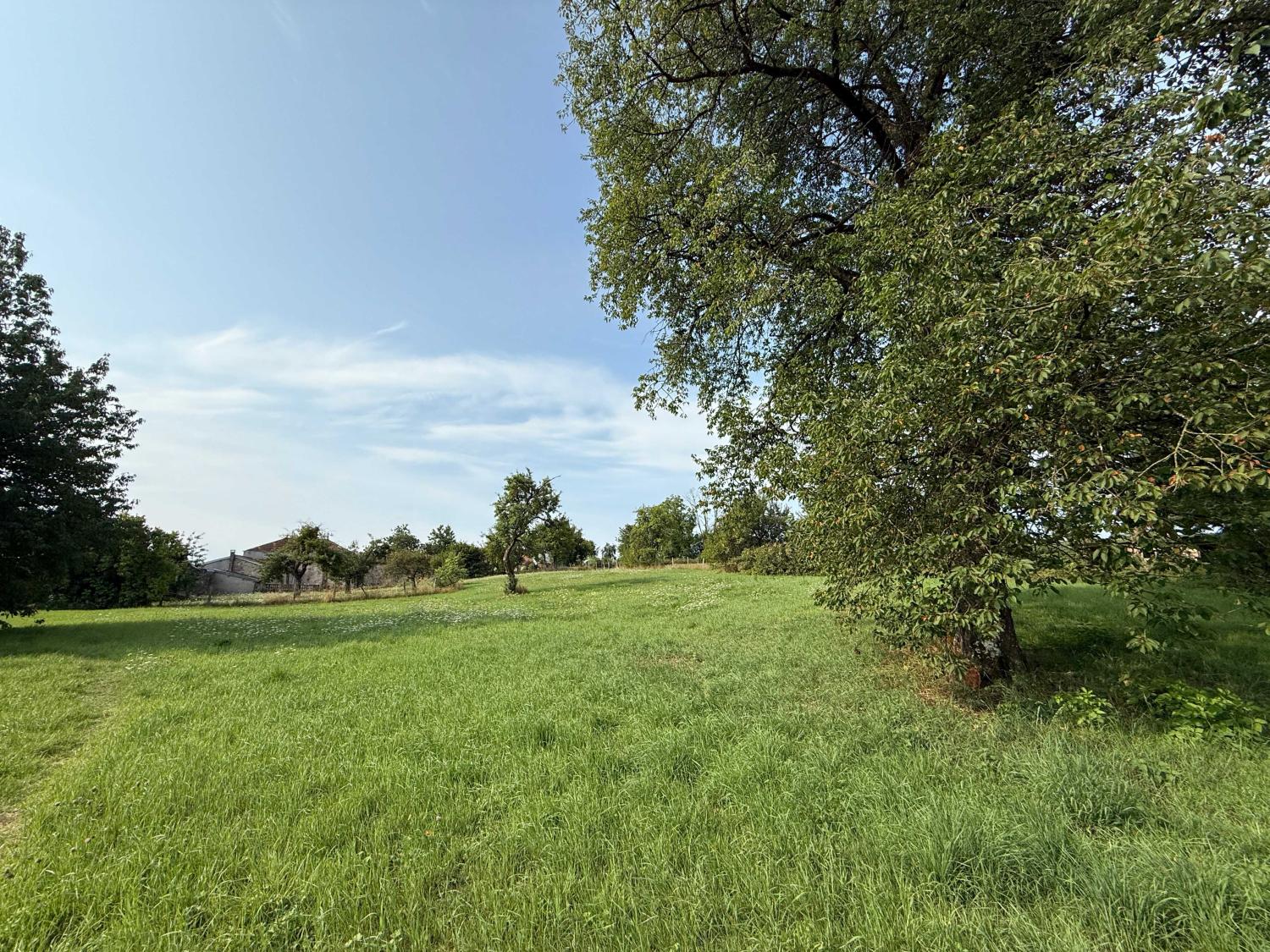  te koop dorpsboerderij Châtillon-sur-Saône Vogezen 25