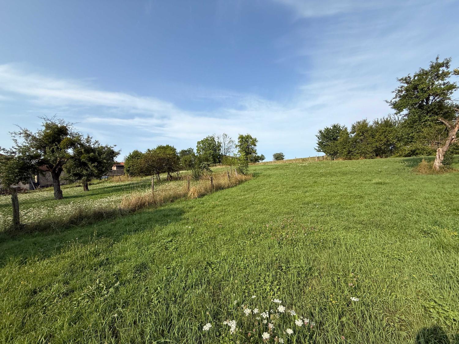  te koop dorpsboerderij Châtillon-sur-Saône Vogezen 22