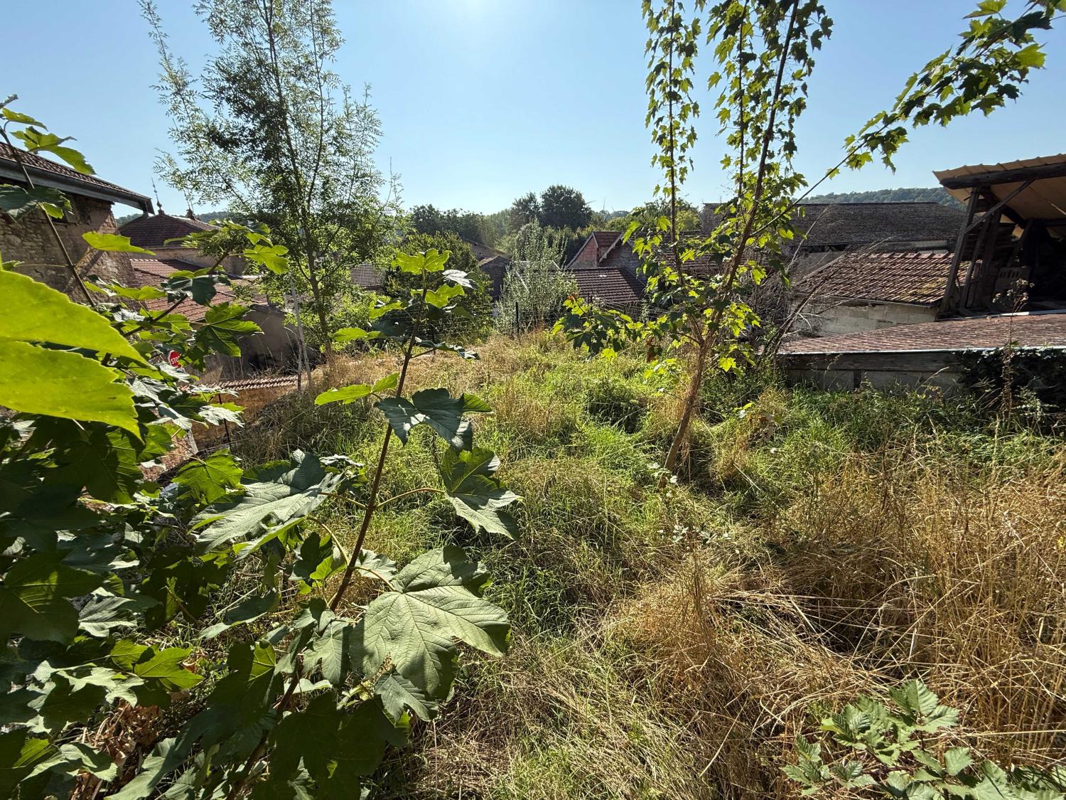  te koop dorpshuis Doulevant-le-Château Haute-Marne 23