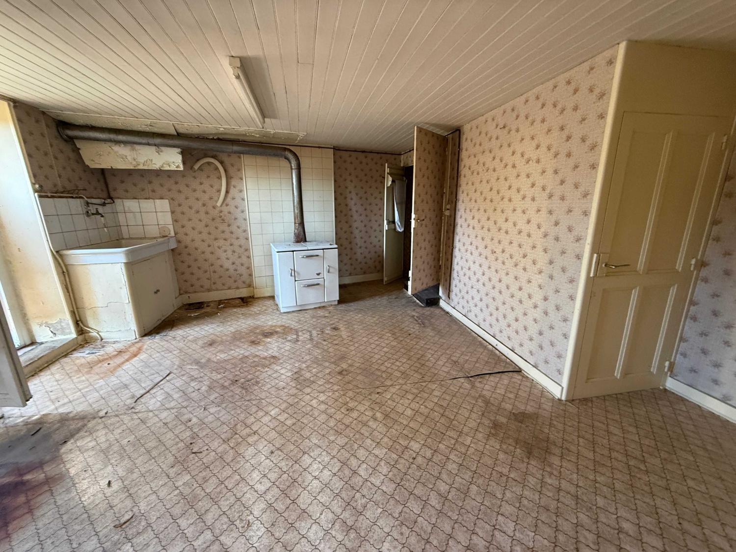  te koop dorpshuis Doulevant-le-Château Haute-Marne 30