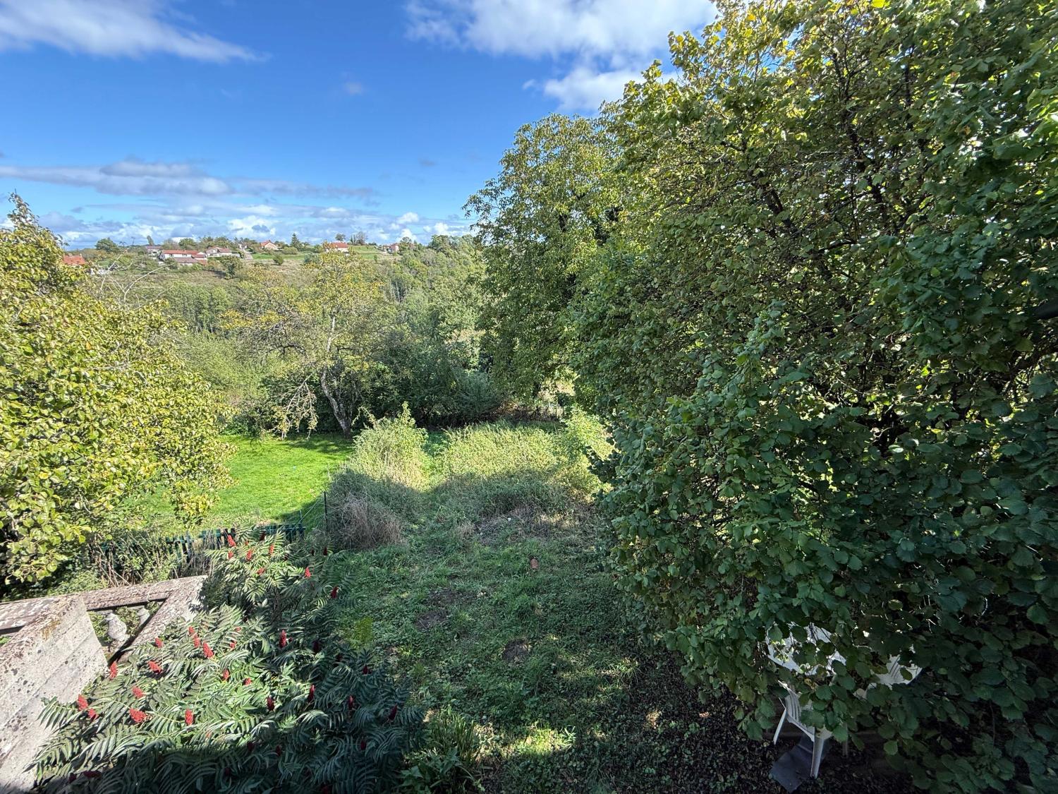  te koop dorpsboerderij Damrémont Haute-Marne 5