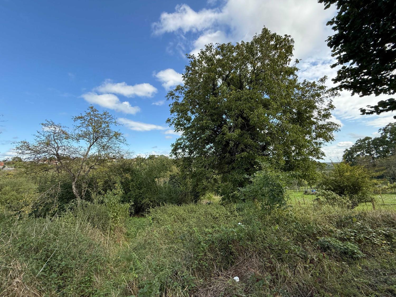  te koop dorpsboerderij Damrémont Haute-Marne 23