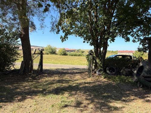  te koop herenhuis Châtillon-sur-Saône Vogezen 44