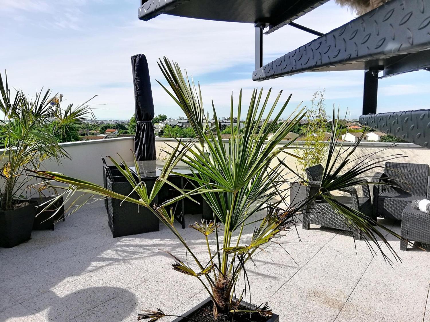 te koop appartement Toulouse 31200 Haute-Garonne 3