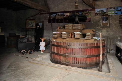  te koop gîtes/ chambres d'hôtes Couddes Loir-et-Cher 29