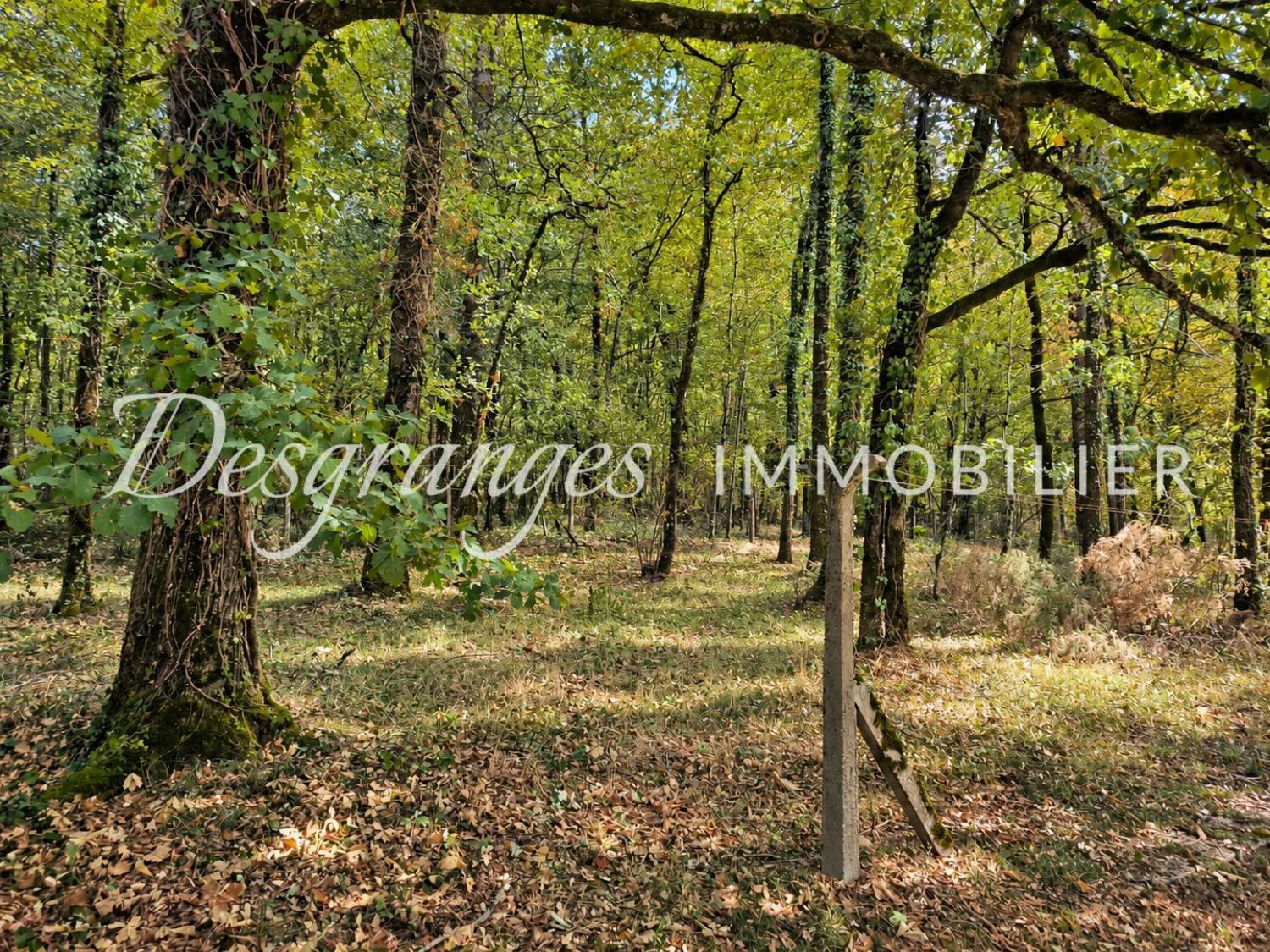 te koop huis Excideuil Dordogne 18
