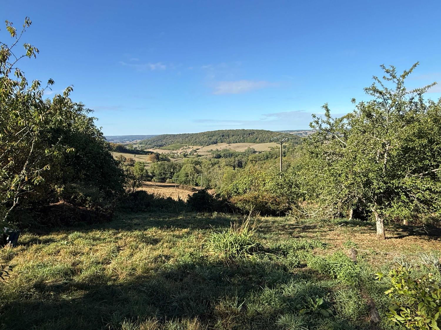 te koop dorpshuis Bourbonne-les-Bains Haute-Marne 30