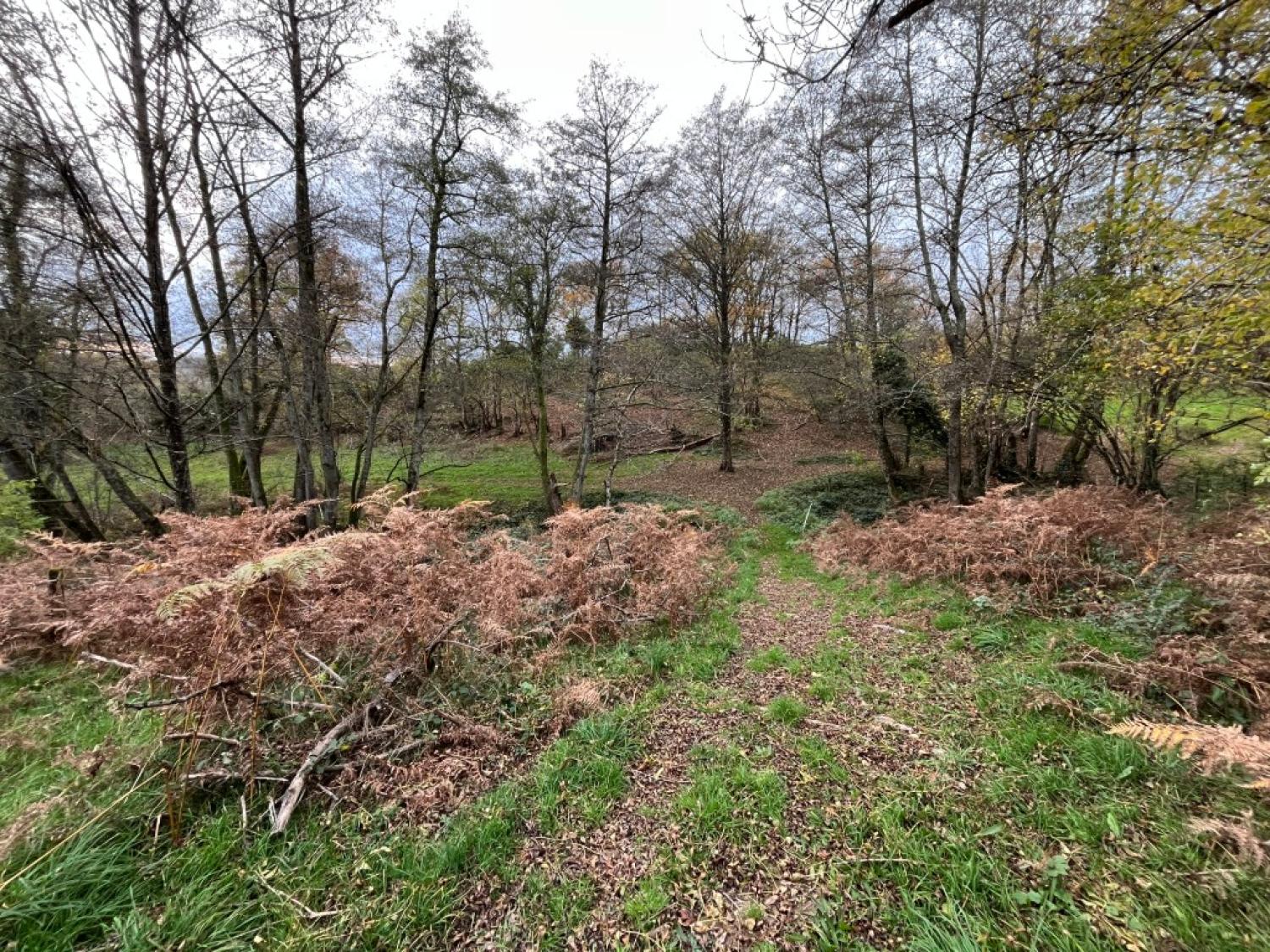 te koop huis met gîte Saint-Hilaire-en-Morvan Nièvre 22