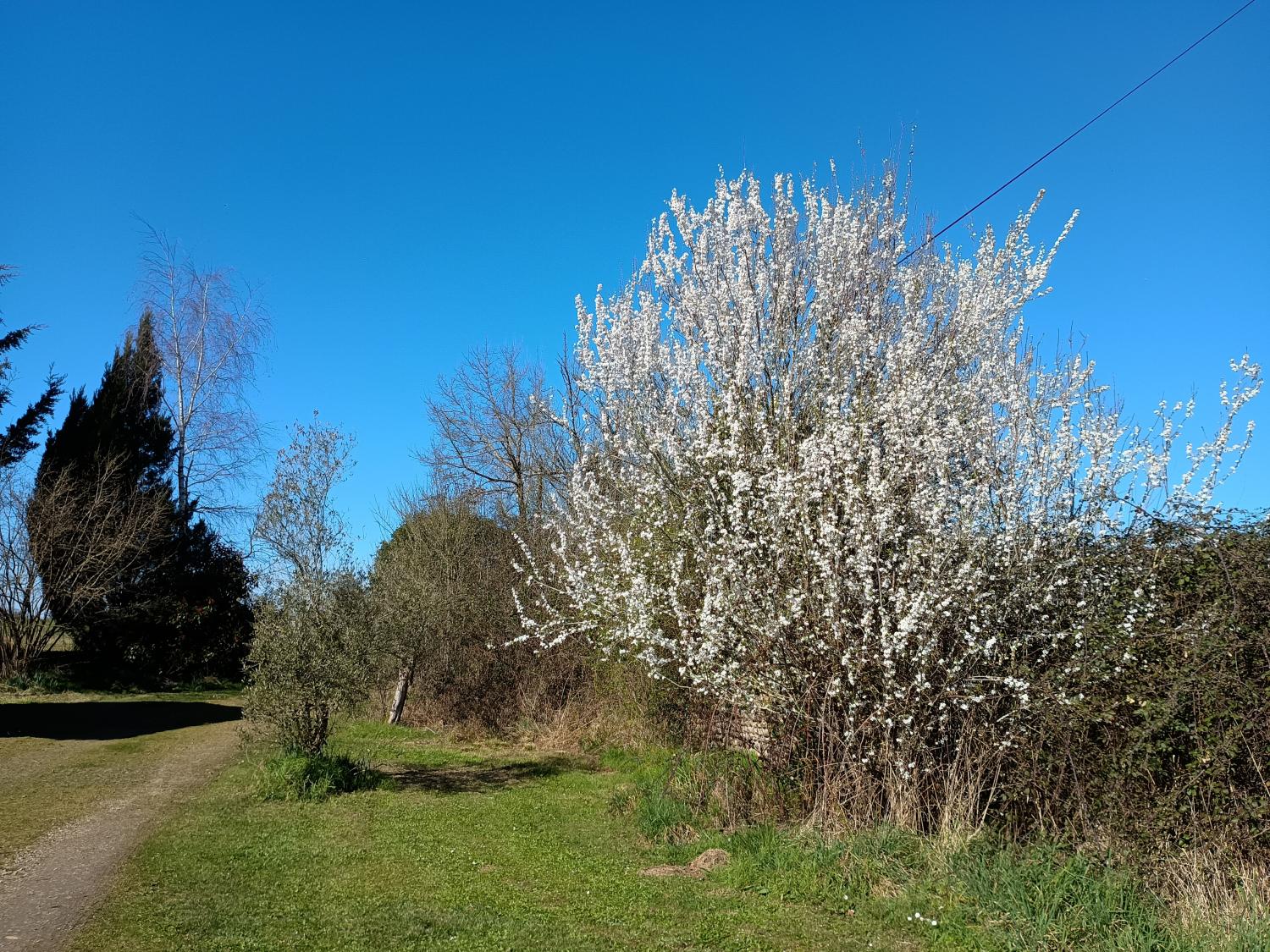 te koop vrijstaand Aire-sur-l'Adour Landes 37
