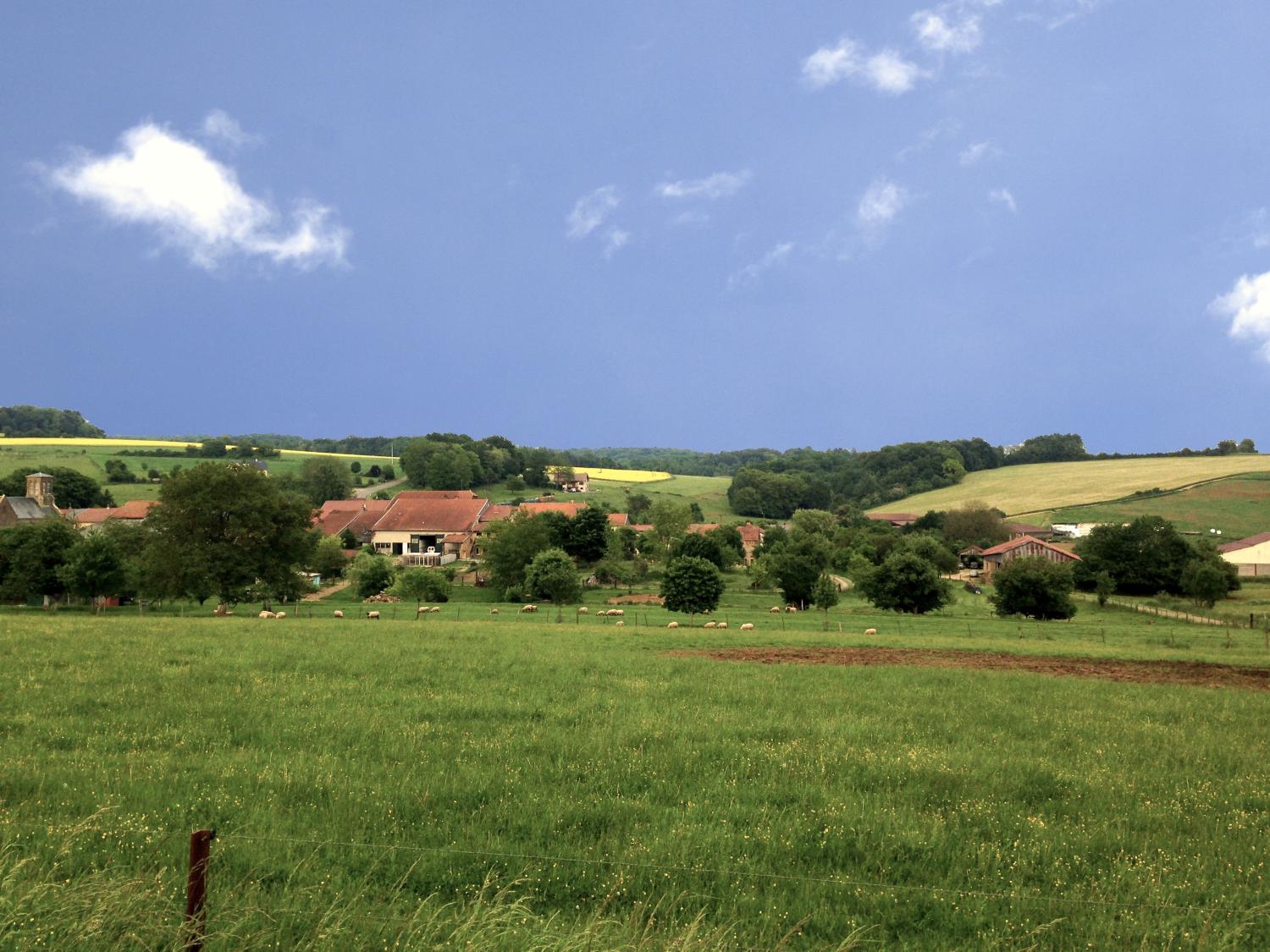 te koop gîtes/ chambres d'hôtes Autréville-Saint-Lambert Meuse 43