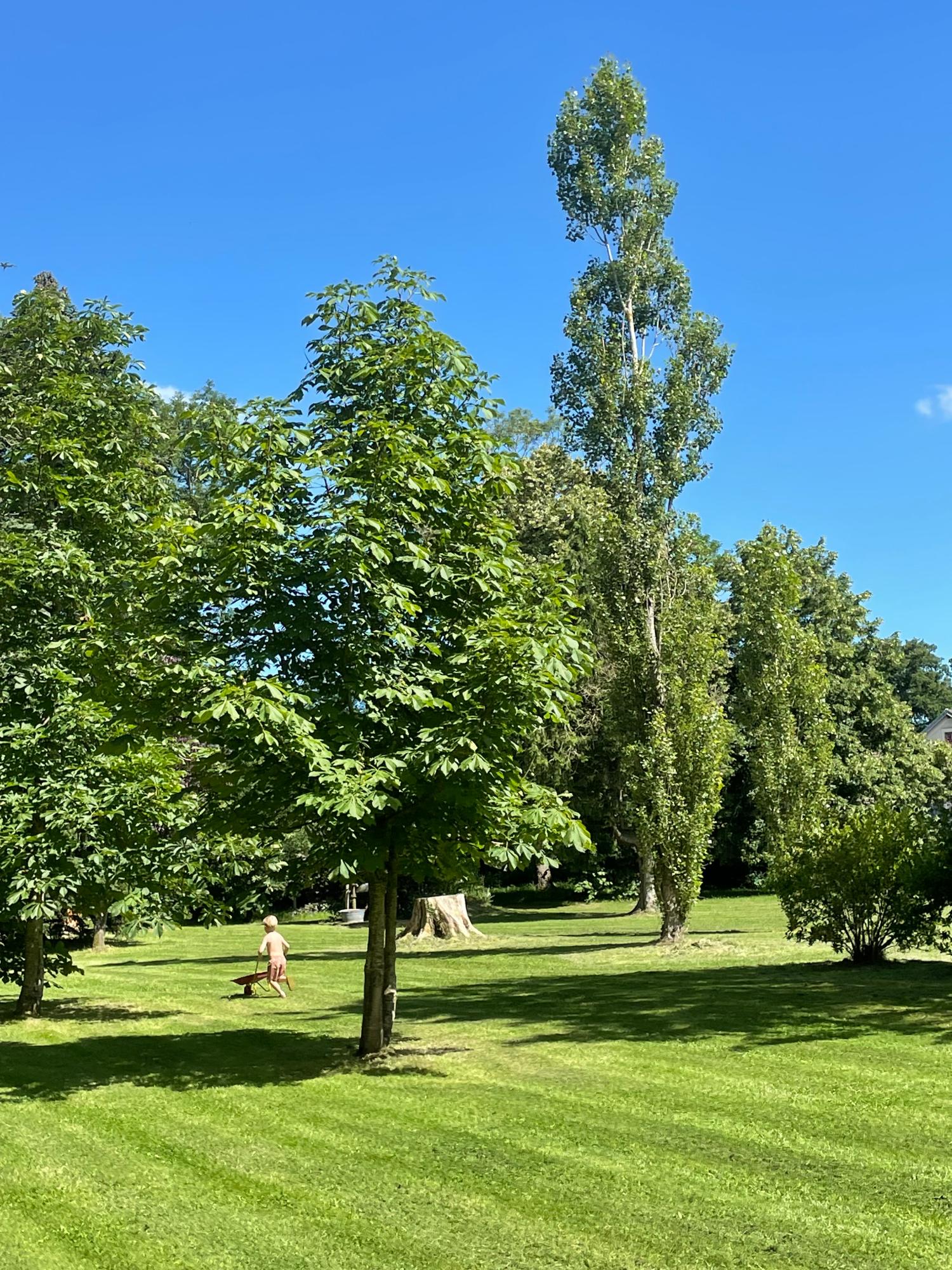  te koop camping Lussat Creuse 4