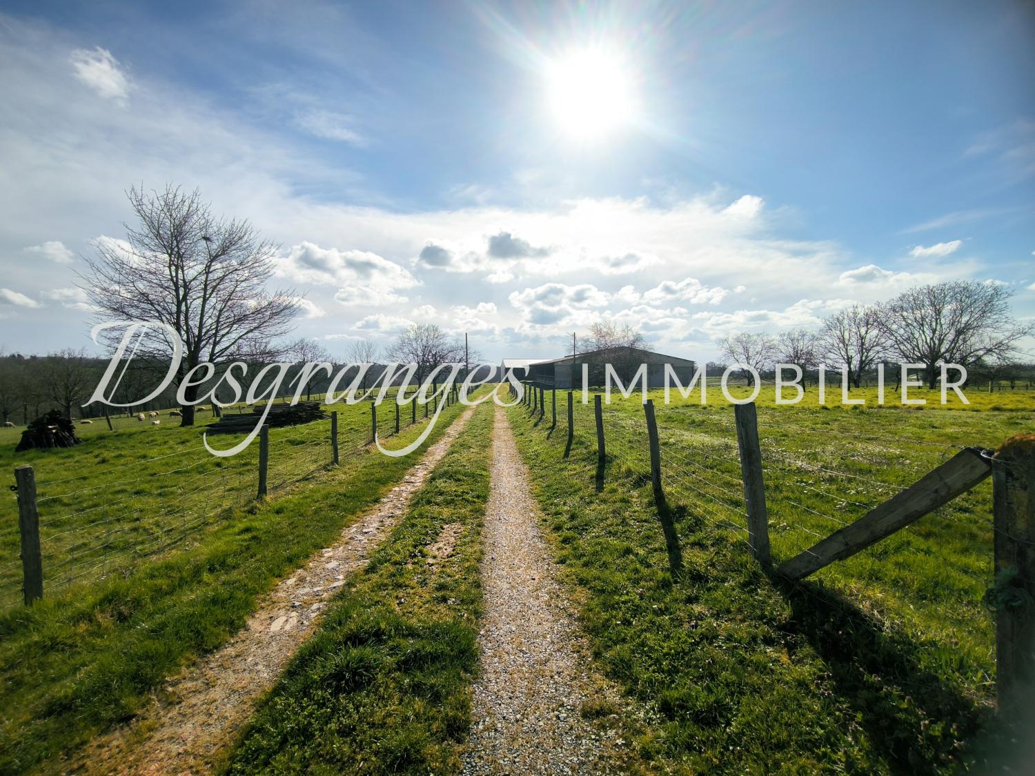  te koop boerderij Payzac Dordogne 14