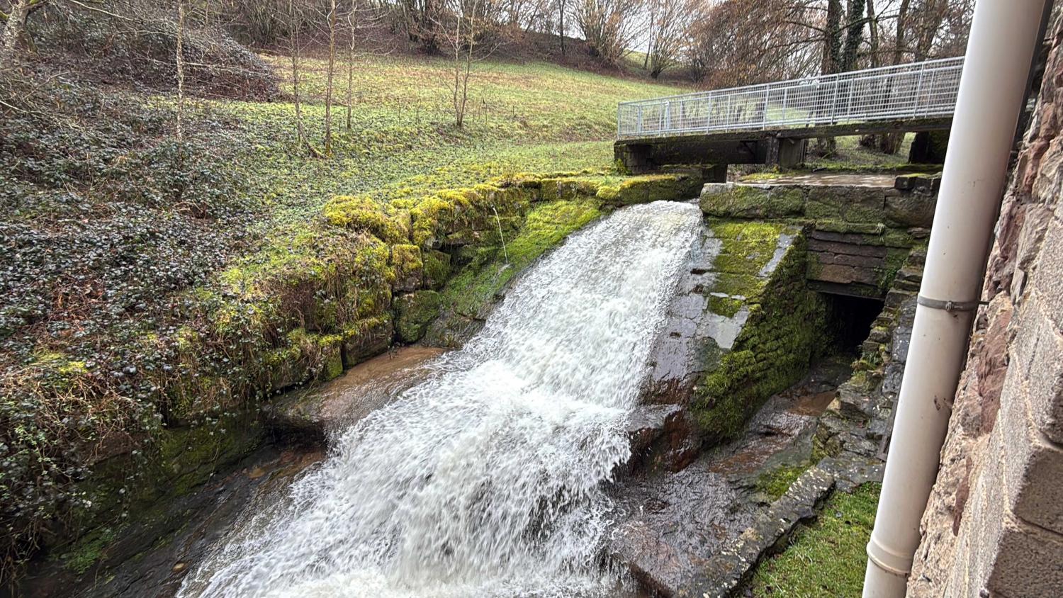  te koop gîtes/ chambres d'hôtes Viviers-le-Gras Vogezen 5
