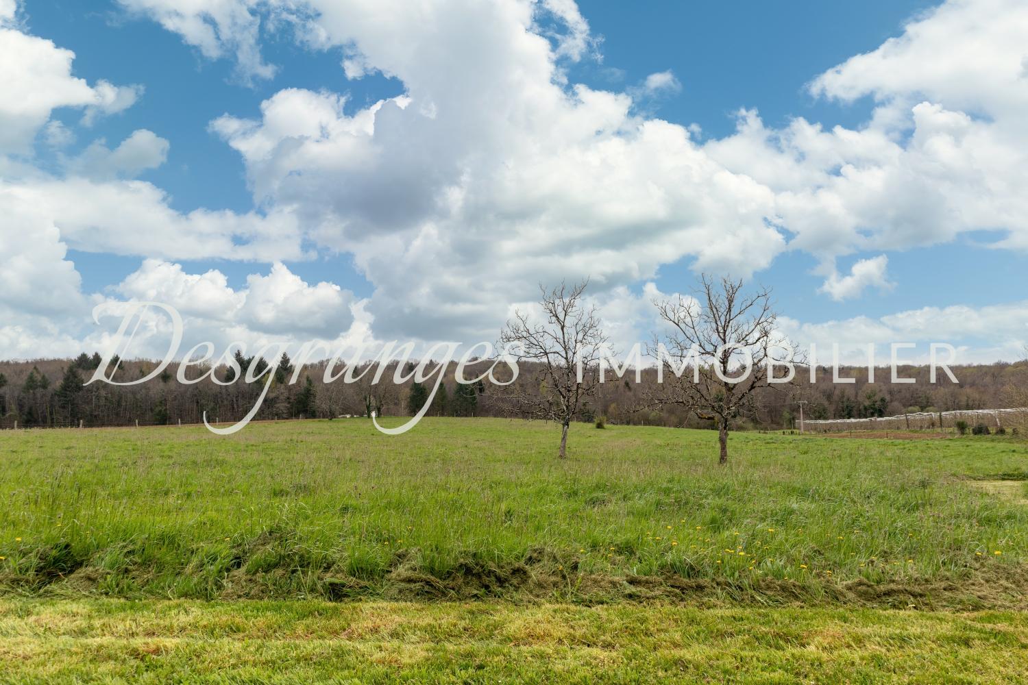  te koop landgoed Savignac-Lédrier Dordogne 17