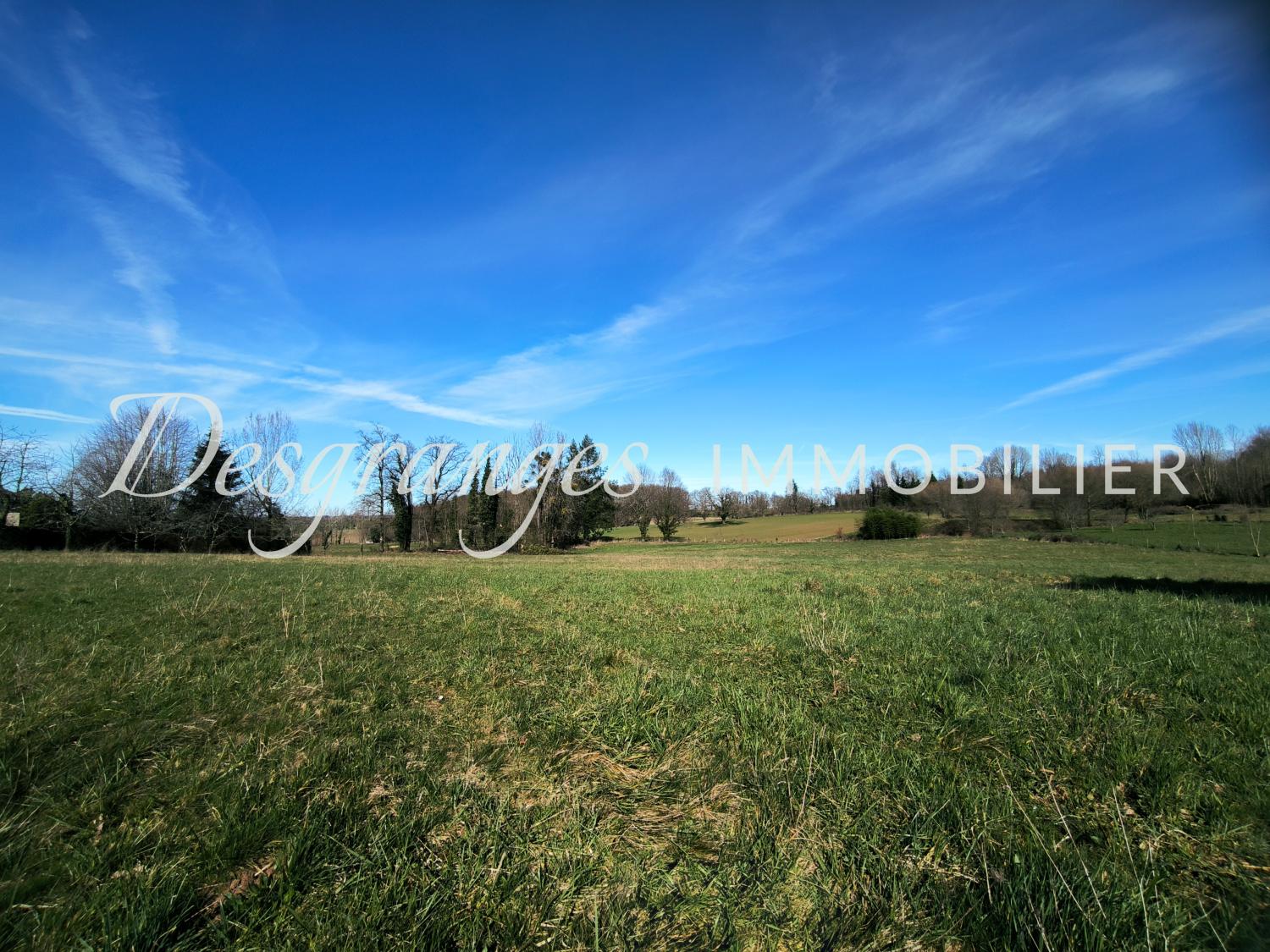  te koop bouwgrond Payzac Dordogne 4