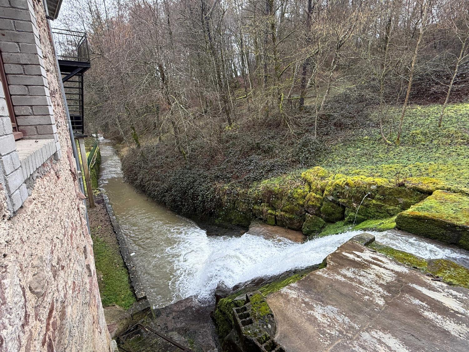  te koop gîtes/ chambres d'hôtes Viviers-le-Gras Vogezen 7