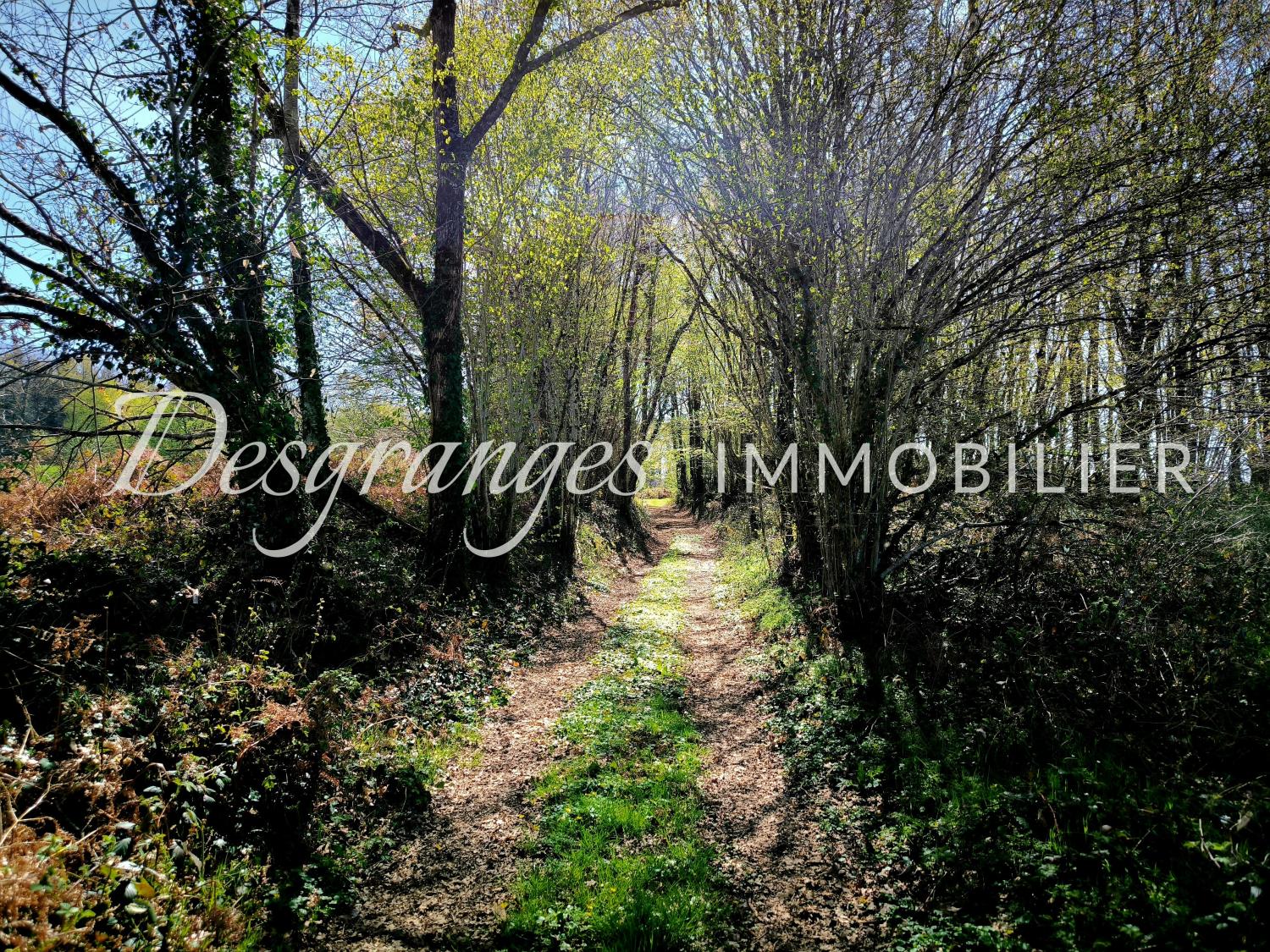 te koop landgoed Payzac Dordogne 31