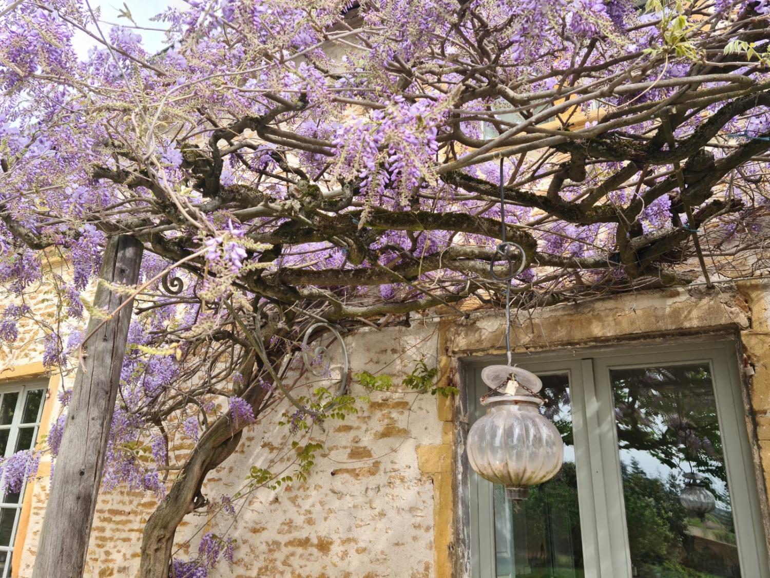  te koop huis Pommiers Rhône 6